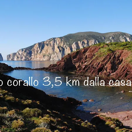 A Strapiombo Sul Mare Tanca Piras Tatil Evi